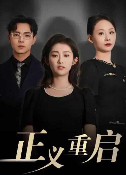 无声辩护 剧集封面